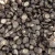Import Cultivation Bag Bulk Dehydrated Dried Shitake Mushroom Natural Organic Shitake Mushroom Spawn Bags from China