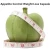 Import Custom raspberry ketone weight loss product from China