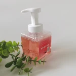 Customized Private Label Handwash Small MOQ Antiseptic Hand Wash Fine Liquid Hand Soap 250ML