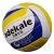 Import customized volleyball ball from China