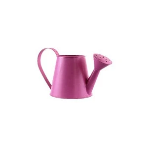 Daily use custom colour cheap metal watering can
