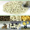 DAP fertilizer 18-46-0 / Diammonium Phosphate fertilizer