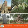 decorative natural landscape stone