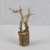 Import decorative resin artificial deer antler crafts on wood from China