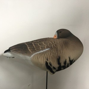 Decoys for Hunting