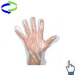 Disposable PE Glove