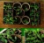 DIY Biodegradable Seedling Starter Kit  Peat Pots Trays Gardening Seeder Dibbers T-markers Humidity Dome Base Germination Trays