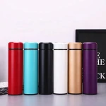 Double Wall Vacuum Stainless Steel Water Bottle with Strainer Filter Leakproof Travel Mug Coffee Tumbler Tea Cup for Kids Adults