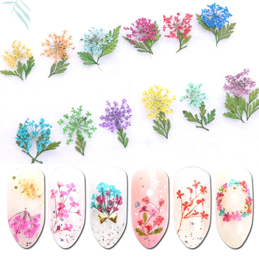 Dried Flowers Leaf Nail Decoration Natural Floral Stickers 3D Dry Beauty Nail Art Decals Jewelry Tips UV Gel Polish Manicure