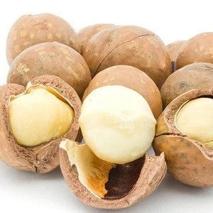 Dried Macadamia Nuts ,ROASTED MACADAMIA NUTS (SALTED)/Macadamia in Shell for sale