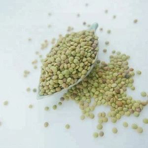 Dry Green Lentils With Good Quality Food grade