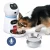 Durable auto timed pet feeder electronic USB charge 3L capacity automatic pet feeder robot lovely dog cat smart feeding bowl