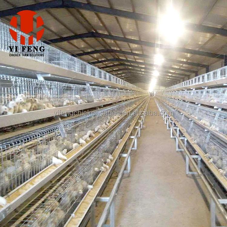 Durable cold / hot dipped galvanized baby chicks cage 0-8 week bird breeding cage