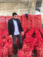 EGYPTIAN FRESH ONION