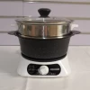 Electronic Boiling Pot with steamer