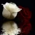 Import Embroidery Diamond Flower Picture 3D Diy Painting Home Decoration Canvas from China
