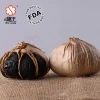 Factory manufacturer fermentation black garlic