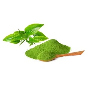 Factory Supply Green Tea Extract L Theanine Egcg Catechin help clear acne