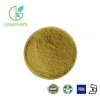 Factory supply natural ginger root extract