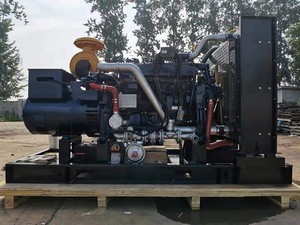 Farms Factories Use Electric Mwm Natural Gas Propane Generator