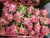 Import First Grade Fresh Dragon Fruits from South Africa