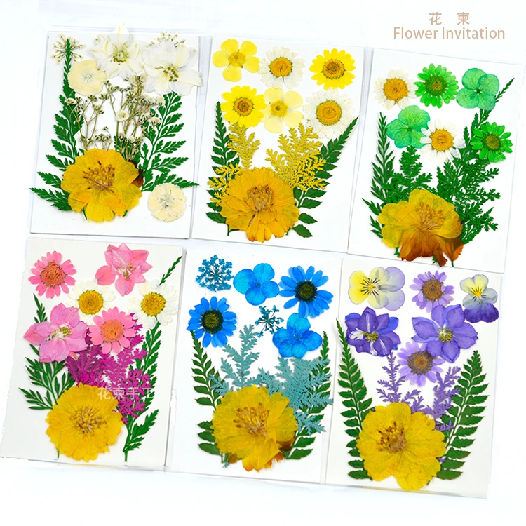 Flower Invitation Mixed dry flower bag  handmade plant specimens pressed flower student kits natural Fresh