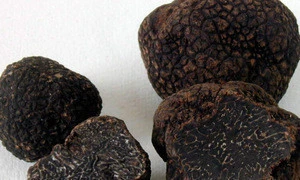 Food Grade Custom Design what do white truffles taste like Cheap price