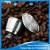 Import Food grade refillable/stainless steel coffee pod/ nestle coffee capsule/ from China