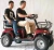 Import Four Wheels Free Shipping Disable Electric Vehicle from China