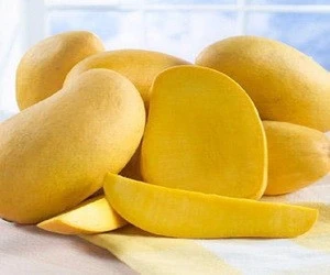Fresh Alphonso Mango One Of The Best Exporters In Philippines