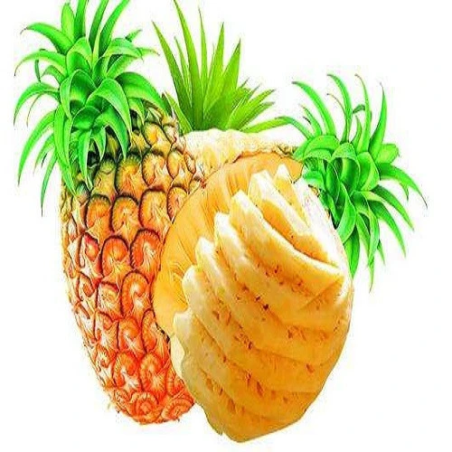 Fresh Canned pineapple for sale