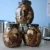 Import fresh canned  shiitake mushrooms in brine with good quality from China
