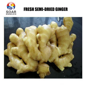 fresh ginger types ginger