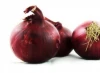 Fresh Onion Red Onion  High Quality Best Price