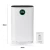 Import Fresh Ozone Large Air Cleaner Filter Allergies Eliminator Negative ion Air Purifier from China