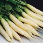 Fresh Radish