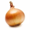 Fresh Red Onion from India