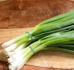 Fresh Scallions