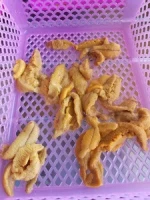 Fresh Sea Urchin
