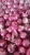Import Fresh small rose brown red onion from China