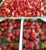 Fresh Strawberries From South Africa..
