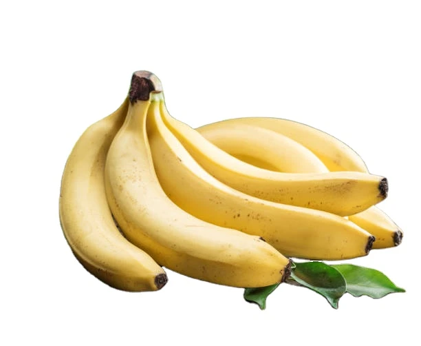 FRESH SWEET CAVENDISH BANANAS FOR SALE 2021 WITH BEST PRICE AND HIGH QUALITY