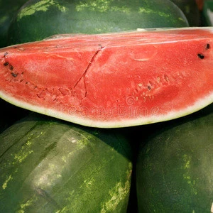 Fresh Sweet Water Melon for sale