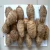 Import FRESH TARO - HIGH QUALITY from South Africa
