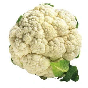 frozen BEST QUALITY Wholesale Cauliflower Products For Sale,Cauliflower is a delicious vegetable