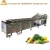 Import Fruit and Vegetable Washer from China