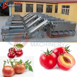 Fruit Washing Machine Fruit Grader Agricultural Equipment