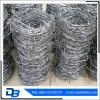 Galvanized Barbed Wire Price With High Quality