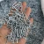 Import Galvanized wire mesh fence U-shaped nails Fence staples factory from China