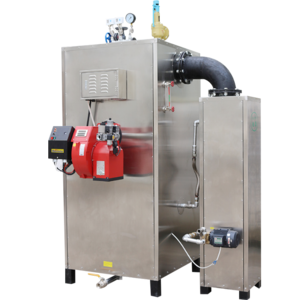 Gas Fuel Steam Generator Boiler Economizer Wns Green Sauna Red Blue Fire Customized Vertical Style Industrial Sterilizer 100kg/h
